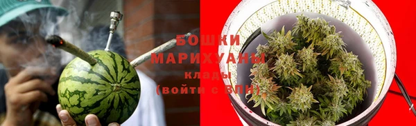 стаф Богородск