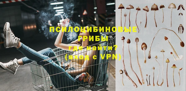 стаф Богородск
