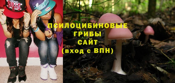 мдпв Богородицк