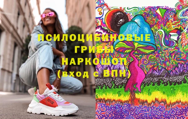 стаф Богородск