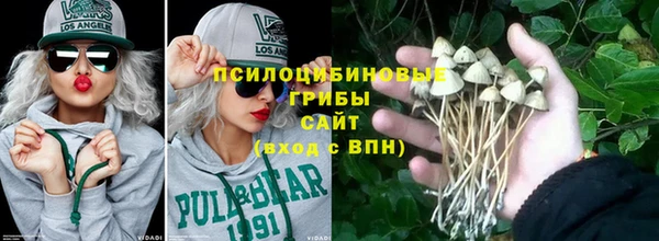 мдпв Богородицк